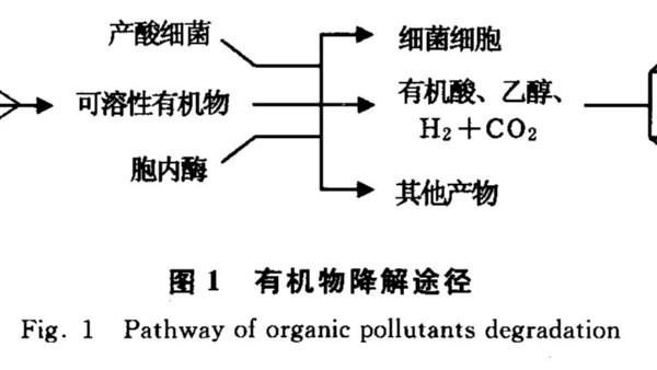 好氧生物處理技術(shù)的原理